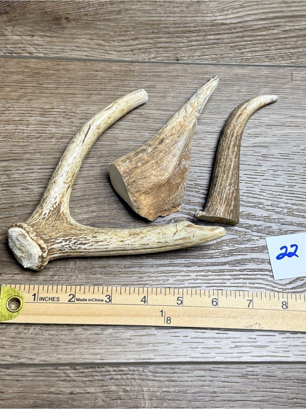 Natural Deer Antler Dog Chews – Mixed Sika, Fallow or Whitetail